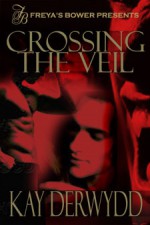 Crossing The Veil - Kay Derwydd