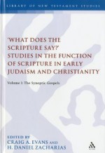 'What Does the Scripture Say?' Studies in the Function of Scripture in Early Judaism and Christianit: Volume 1: The Synoptic Gospels - H. Daniel Zacharias, Daniel H. Zacharias