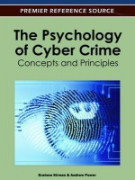 The Psychology of Cyber Crime: Concepts and Principles - Grainne Kirwan