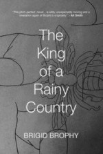 The King of a Rainy Country - Brigid Brophy