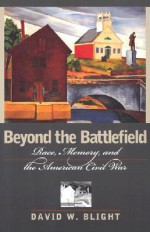 Beyond the Battlefield: Race, Memory, and the American Civil War - David W. Blight