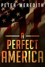 A Perfect America - Peter Meredith