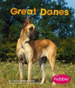 Great Danes - Connie Colwell Miller