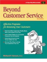 Beyond Customer Service: Effective Programs for Retaining Your Customers - Richard Gerson