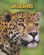 Jaguars - Charlotte Guillain