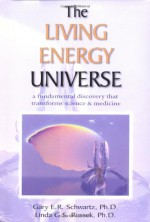 The Living Energy Universe - Gary E. Schwartz, Linda G. S. Russek