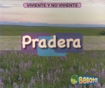 Que Vive En Una Pradera?what's Living in a Prarie? (Viviente Y No Viviente/ Living and Nonliving) - Cassie Mayer