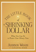 The Little Book of the Shrinking Dollar: What You Can Do to Protect Your Money Now - Addison Wiggin