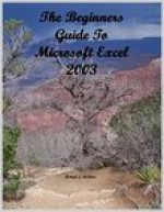 The Beginners Guide to Microsoft Excel 2003 - Michael McAleer