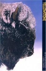 Yellowstone: First Of The Last Wild Places (Sierra Press) - George B. Robinson