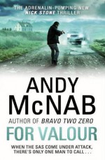 For Valour - Andy McNab