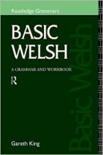 Basic Welsh: A Grammar and Workbook (Grammar Workbooks) - Gareth King