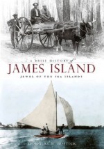 A Brief History of James Island: Jewel of the Sea Islands - Douglas W. Bostick