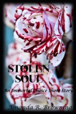 Stolen Soul - Amanda R. Browning