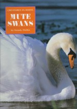 Mute Swans - Wendy Pfeffer