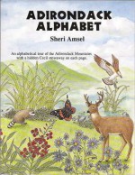 Adirondack Alphabet Book - Sheri Amsel