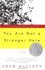 You Are Not a Stranger Here - Adam Haslett