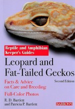 Leopard and Fat-Tailed Geckos (Reptile and Amphibian Keeper's Guides) - Richard D. Bartlett, Patricia P. Bartlett