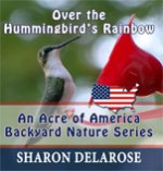 Over the Hummingbird's Rainbow: An Acre of America Backyard Nature Series - Sharon Delarose