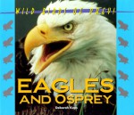 Wild Birds of Prey - Eagles & Osprey (Wild Birds of Prey) - Deborah Kops