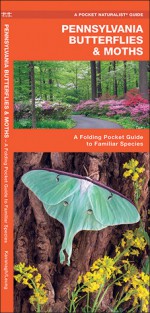 Pennsylvania Butterflies & Moths: A Folding Pocket Guide to Familiar Species - James Kavanagh, Raymond Leung, James Kavanagh