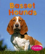 Basset Hounds - Connie Colwell Miller