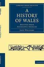 A History of Wales - Jane Williams