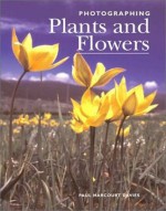 Photographing Plants and Flowers - Paul Harcourt Davies