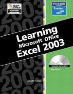 Learning Series (Ddc): Learning Microsoft Office Excel 2003 (Ddc Learning Series) - Jennifer Fulton