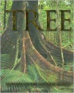 The Tree: Wonder of the Natural World - Jenny Linford