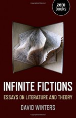 Infinite Fictions: Essays on Literature and Theory - David Winters