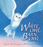 White Owl, Barn Owl - Nicola Davies, Michael Foreman