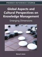 Global Aspects and Cultural Perspectives on Knowledge Management: Emerging Dimensions - Murray E. Jennex