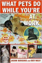 What Pets Do While You're at Work - Jason Bergund, Beverly West