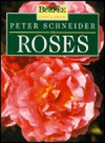 Peter Schneider on Roses - Peter Schneider