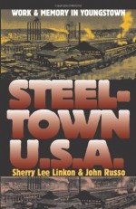 Steeltown U.S.A.: Work and Memory in Youngstown (Culture America) - Sherry Lee Linkon, John Russo