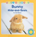 Bunny Hide-And-Seek - Lisa Odierno