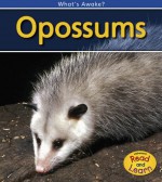 Opossums: 2nd Edition (What's Awake?) - Patricia Whitehouse