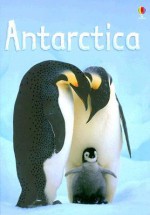 Antarctica (Usborne Beginners) - Lucy Bowman