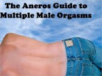 The Aneros Guide to Multiple Male Orgasms - Alan Carey