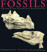 Fossils: The Evolution and Extinction of Species - Niles Eldredge, Stephen Jay Gould