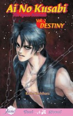 Ai No Kusabi The Space Between Volume 2: Destiny (Yaoi Novel) (v. 2) - Reiko Yoshihara, Katsumi Michihara, Kelly Quine