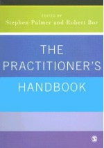 The Practitioner's Handbook: A Guide for Counsellors, Psychotherapists and Counselling Psychologists - Stephen Palmer, Robert Bor