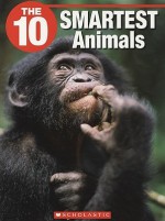 The 10 Smartest Animals - Glen Downey, Jeffrey D. Wilhelm