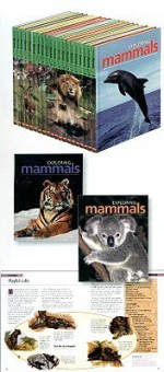 Exploring Mammals - Marshall Cavendish