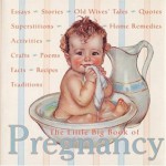 The Little Big Book of Pregnancy (Little Big Book (New York, N.Y.), 12.) - Katrina Fried, Lena Tabori