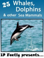 25 Whales, Dolphins and other Sea Mammals. Amazing facts, photos and video links to fascinating sea animals! (25 Amazing Animals Series) - IC Wildlife, IP Factly