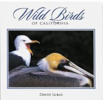 Wild Birds of California - David Lukas