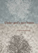 Under God's Pale Bones - David A. Groulx