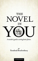 The Novel in You: A Novelist's Guide to Writing Better Fiction - Rosalind Brackenbury